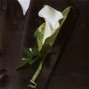Chic White Calla Lily Buttonhole