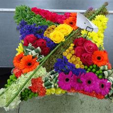 Contemporary Cushion - Vibrant