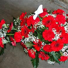   Carnation and Germini  Spray - Red- Beaufort local delivery only