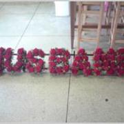 Husband Frame-  all Roses- Beaufort local only