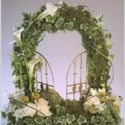 Woodland Gates of Heaven