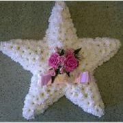 5 Point Star Frame with Ribbon 