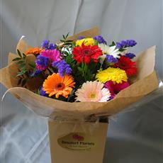 Germini Handtied- Beaufort local delivery