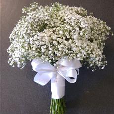 gypsophilia bouquet