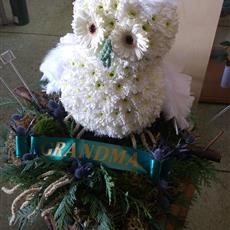 Snowy Owl tribute