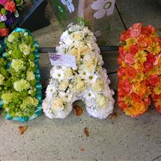 Nan in Irish colours