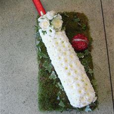 Cricket bat and Ball