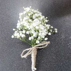 Gypsophilia  hessian tied buttonhole