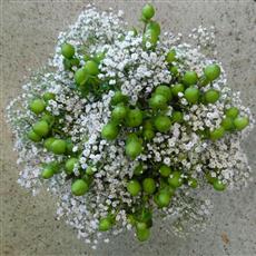 gypsophilia and berries bouquet