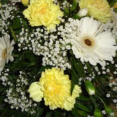 Florists choice spray