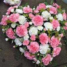  Loose style Carnation heart- Beaufort local delivery only