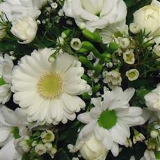 BEAUFORT GIFT WRAP FLORIST CHOICE