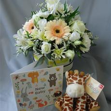 Baby Giraffe Gift set- Beaufort local delivery only
