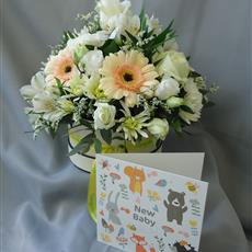 New Baby Hatbox- Beaufort local delivery only