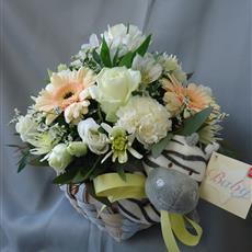 Baby Zebra Basket- Beaufort local delivery only