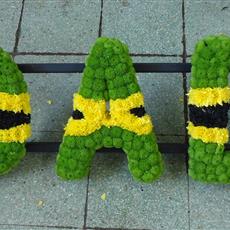 Jamaican Dad frame- Beaufort local delivery only