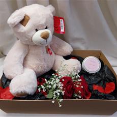Bear Gift set- Beaufort local delivery only