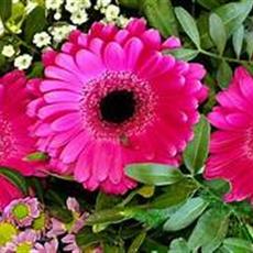 BEAUFORT HANDTIED FLORIST CHOICE