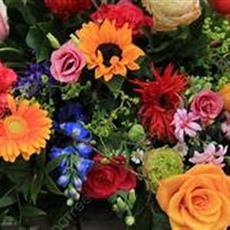BEAUFORT  GIFTBOX FLORIST CHOICE