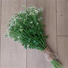 Summer Daisy Bridesmaid Bouquet