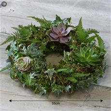 Eco friendly living plant wreath- Beaufort local delivery only