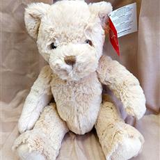 Teddy bear- Beaufort local delivery only