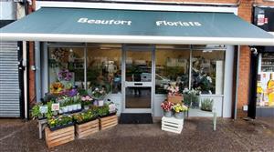 Autumn flowers Birmingham